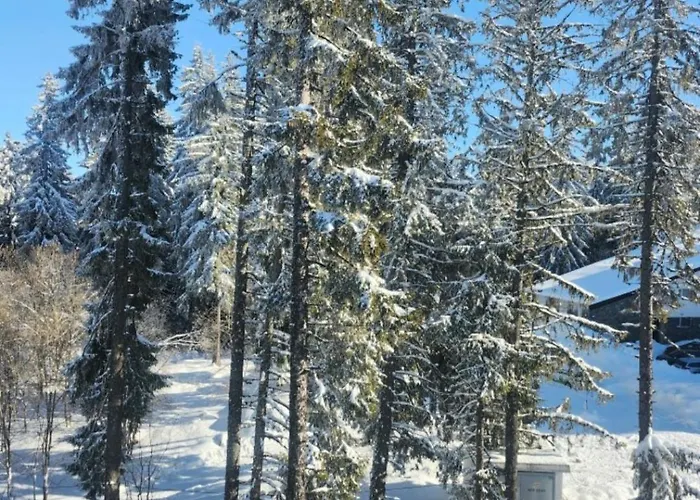 Apartment Crosswaybg *